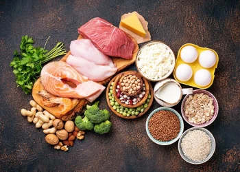 Sumber Protein yang Baik untuk Kesehatan