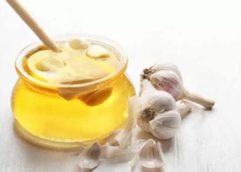 Manfaat Rebusan Bawang Putih untuk Kesehatan: Keajaiban Alam yang Perlu Diketahui