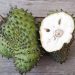 8 Manfaat Buah Sirsak untuk Kesehatan: Khasiat yang Luar Biasa