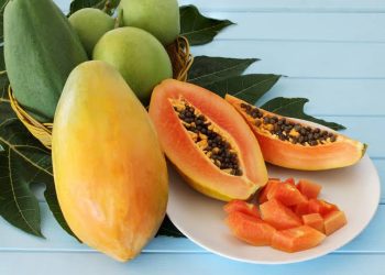 Manfaat Buah Pepaya untuk Kesehatan: Superfood Tropis yang Penuh Khasiat