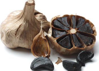 Manfaat Rutin Konsumsi Bawang Hitam bagi Kesehatan