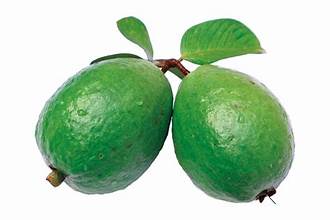 Manfaat Jambu Guava untuk Kesehatan