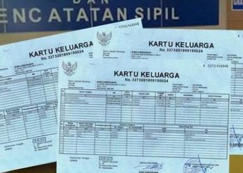 Cara Cek Nomor KK Secara Online: Praktis dan Cepat