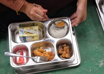 Usulan Pemanfaatan Zakat untuk Program Makan Bergizi Gratis Memalukan