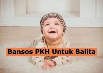 Cara Cek Jadwal Pencairan Bansos Balita Tahap 1 2025