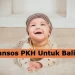 Cara Cek Jadwal Pencairan Bansos Balita Tahap 1 2025
