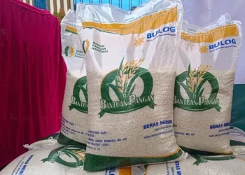 Cara Daftar Bansos Beras 10 Kg Januari 2025