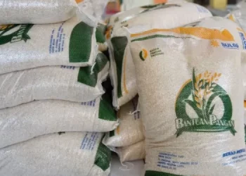 Diperpanjang Hingga 6 bulan, Berikut Cara Mendaftar Bansos Beras 10 Kg 2025