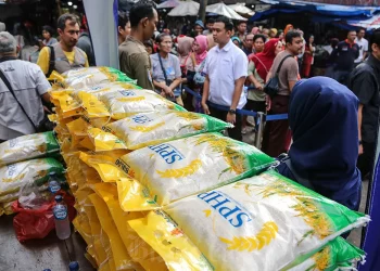 Jadwal Pembagian Beras Gratis dari Pemerintah untuk Masyarakat Indonesia