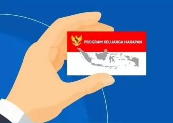 Bantuan PKH Februari 2025: Cek Syarat dan Jadwal Cair untuk Lansia dan Disabilitas!