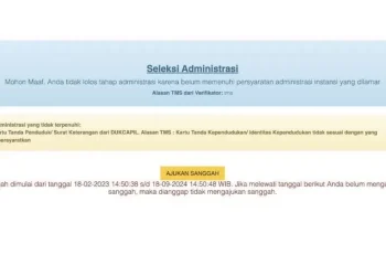 Penyebab Tidak Lolos atau Gagal Seleksi PPPK Tahap 2 2024