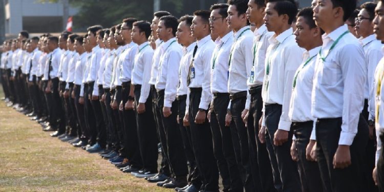 Simak Daftar Sekolah Kedinasan untuk Lulusan SMA Jurusan IPS, Ada STAN Hingga STIN