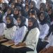 Tidak Lolos PPPK Tahap 2 2024? Jangan Khawatir! Kalian Bisa Coba Paruh Waktu untuk Honorer!