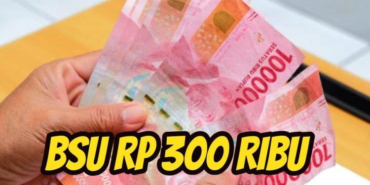 BSU 2025 Rp300.000 Cair Mulai 5 Juni, Cek NIK KTP Anda Sekarang! Begini Syarat dan Cara Mengeceknya