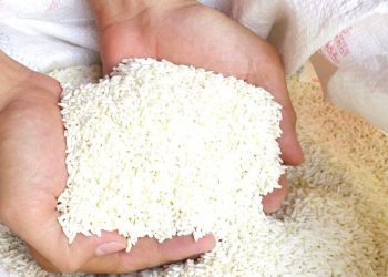 Cara Cek Nama Penerima Bansos Beras 10 Kg Juli 2025 via HP, Jadwal Pencairan dan Syarat Terbaru