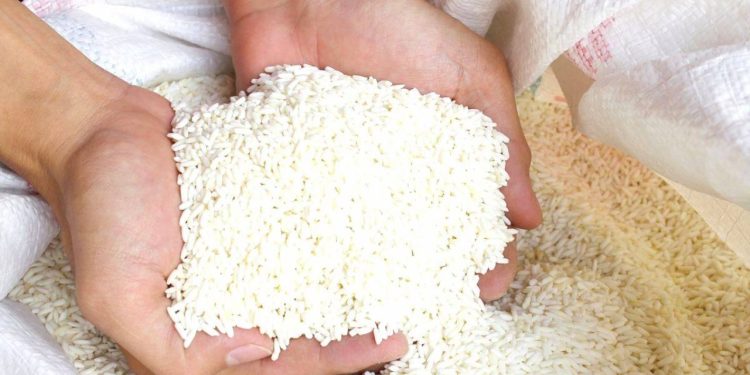 Cara Cek Nama Penerima Bansos Beras 10 Kg Juli 2025 via HP, Jadwal Pencairan dan Syarat Terbaru