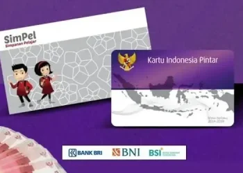 PIP 2025 Tahap 2 Cair Bulan Juli, Simak Cara Cek Nama Penerima dan Nominal Bantuan