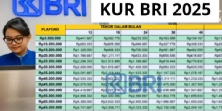 Pinjaman Modal Usaha dari BRI 2025: Ajukan KUR Hingga Rp200 Juta, Ini Syaratnya!