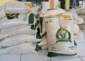 Bantuan Beras 20 Kg untuk KPM Kembali Cair Awal Juli 2025, Cek Jadwal dan Mekanismenya