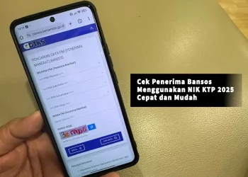 Cek Penerima Bansos Menggunakan NIK KTP dari HP