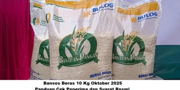 Bansos Beras 10 Kg Oktober 2025: Panduan Cek Penerima dan Syarat Resmi