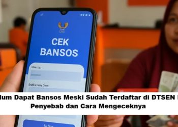 Belum Dapat Bansos Meski Sudah Terdaftar di DTSEN? Ini Penyebab dan Cara Mengeceknya