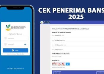Cara Cek Bansos 2025 dengan NIK KTP: Panduan Praktis untuk Penerima Bantuan Pemerintah