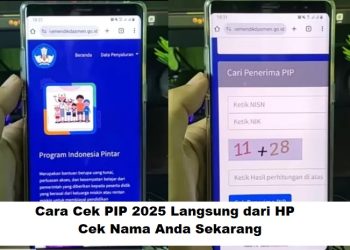 Cara Cek PIP 2025 Langsung dari HP, Cek Nama Anda Sekarang