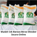 Cara Mudah Cek Bansos Beras Oktober 2025 Secara Online