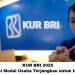 KUR BRI 2025: Solusi Modal Usaha Terjangkau untuk UMKM