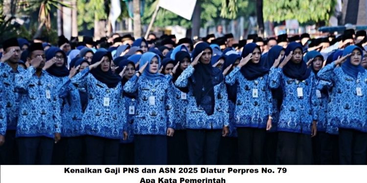 Kenaikan Gaji PNS dan ASN 2025 Diatur Perpres No. 79: Apa Kata Pemerintah?