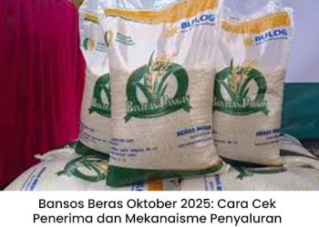 Bansos Beras Oktober 2025: Cara Cek Penerima dan Mekanisme Penyaluran