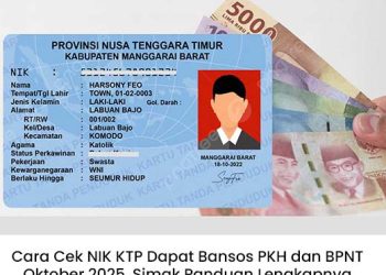 Cara Cek NIK KTP Dapat Bansos PKH dan BPNT Oktober 2025, Simak Panduan Lengkapnya