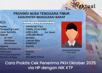 Cara Praktis Cek Penerima PKH Oktober 2025 via HP dengan NIK KTP