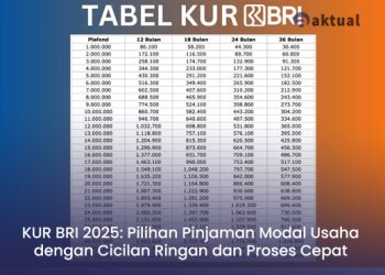 KUR BRI 2025: Pilihan Pinjaman Modal Usaha dengan Cicilan Ringan dan Proses Cepat