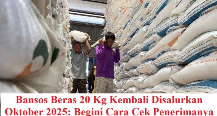Bansos Beras 20 Kg Kembali Disalurkan Oktober 2025: Begini Cara Cek Penerimanya
