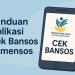 Panduan Lengkap Cara Menggunakan Aplikasi Cek Bansos Kemensos Tanpa Ribet