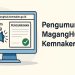 Pengumuman MagangHub Kemnaker 2025: Cek Siapa yang Lolos & Detail Program