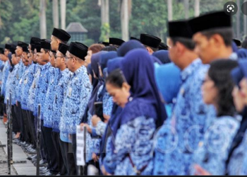 Musim Pelantikan PPPK, Ini Perbedaan ASN dan PNS yang Harus Kamu Ketahui