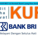 Tips Lolos Survey KUR BRI 2025, Simak Pertanyaan yang Sering Muncul