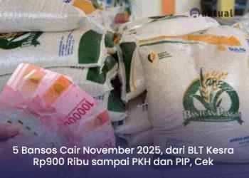 5 Bansos Cair November 2025, dari BLT Kesra Rp900 Ribu sampai PKH dan PIP, Cek Namamu!