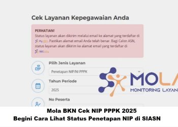 Cek NIP PPPK 2025 : Begini Cara Lihat Status Penetapan NIP di SIASN