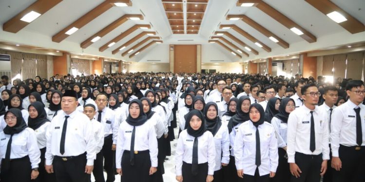 Apa Kabar Honorer Tahun 2025, Apakah Ada Potensi Diangkat Menjadi PPPK Paruh Waktu?