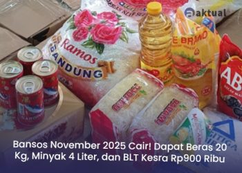 Bansos November 2025 Cair! Dapat Beras 20 Kg, Minyak 4 Liter, dan BLT Kesra Rp900 Ribu