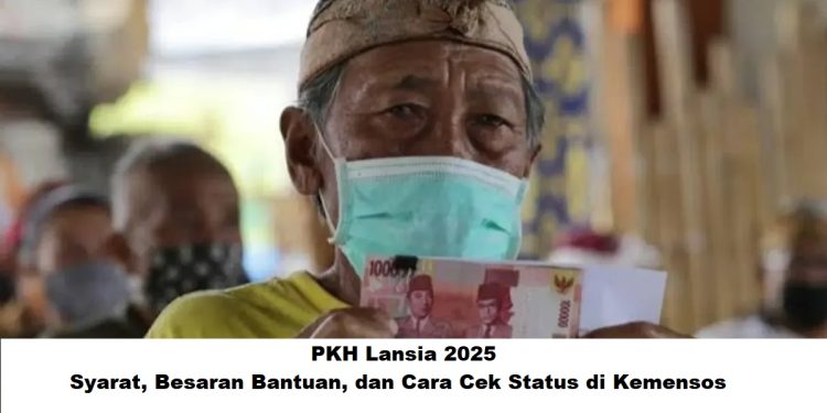 PKH Lansia 2025: Syarat, Besaran Bantuan, dan Cara Cek Status di Kemensos