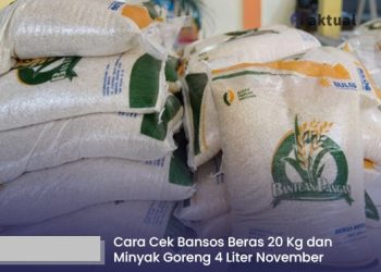Cara Cek Bansos Beras 20 Kg dan Minyak Goreng 4 Liter November 2025, Ikuti Panduan Terbarunya
