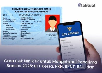 Cara Cek NIK KTP untuk Mengetahui Penerima Bansos 2025: BLT Kesra, PKH, BPNT, BSU, dan PIP