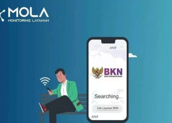 Ni PPPK Paruh Waktu Bisa Cek Lewat Mola BKN Tanpa Harus ke Kantor Kepegawaian, Berikut Caranya