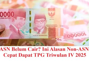 Guru ASN Belum Cair? Ini Alasan Non-ASN Lebih Cepat Dapat TPG Triwulan IV 2025