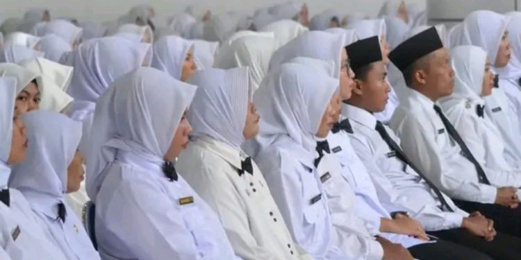 PPPK Paruh Waktu Ingin Ikut CPNS? Bisa, Ini Syaratnya